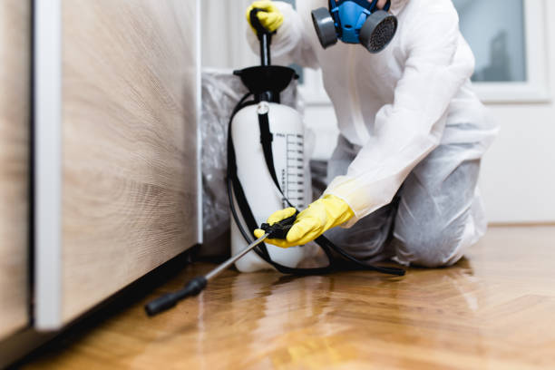 Professional Pest Control in Ogden Dunes, IN