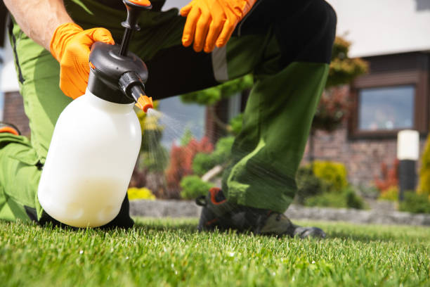 Best Residential Pest Control  in Ogden Dunes, IN