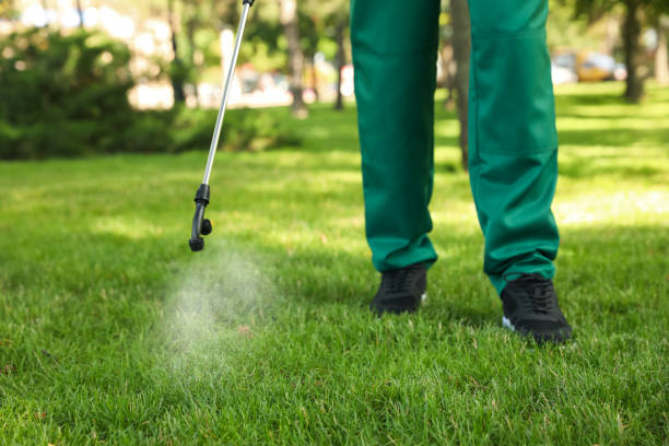 Best Insect Control  in Ogden Dunes, IN