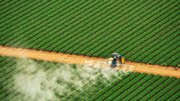 Pest Control Cost in Ogden Dunes, IN