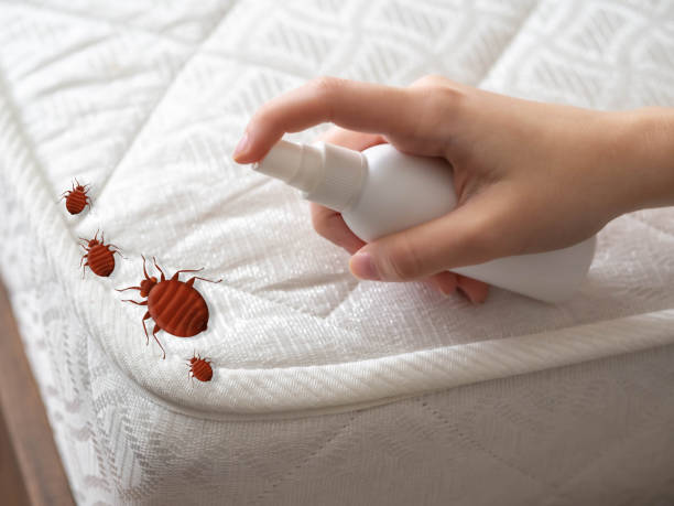 Flea Control Services in Ogden Dunes, IN