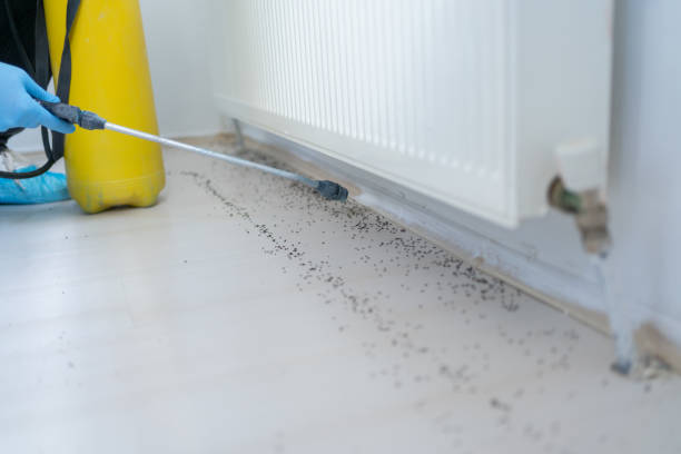 Best Wildlife Control Services  in Ogden Dunes, IN